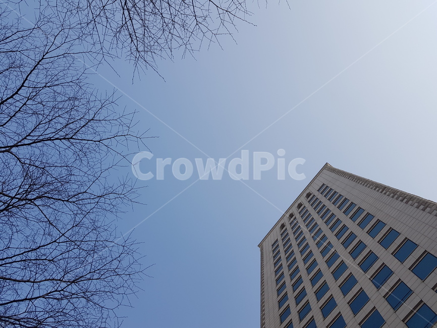 하늘,겨울,건물,풍경,도시,건축물,건물외관,exterior,building,structure,architecture,construction