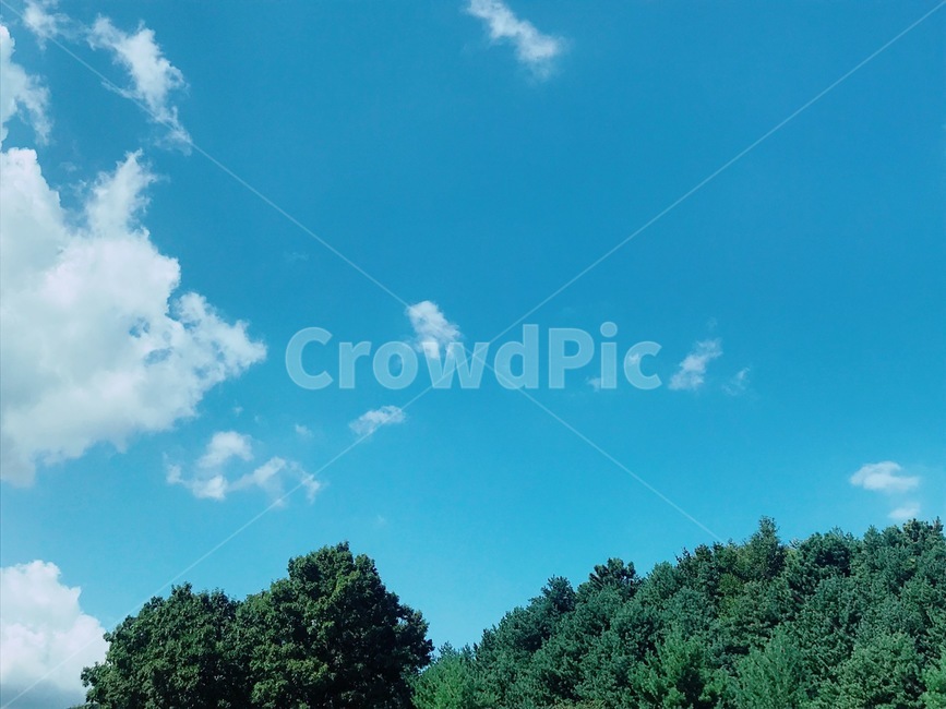 하늘,나무,구름,맑음,sky,tree,cloud,자연,풍경,nature,landscape,outdoors,옥외