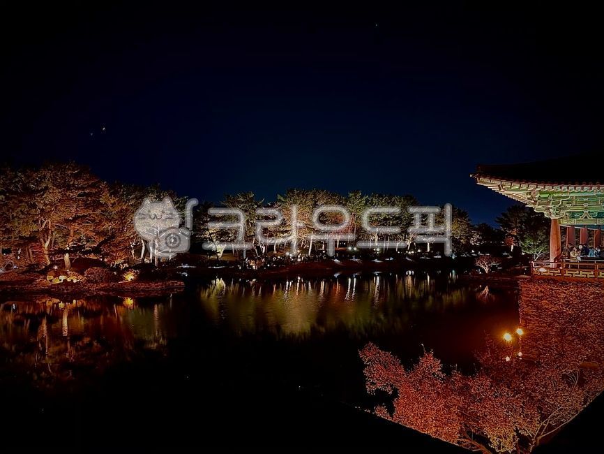 경주,안압지,야경,성,건축물