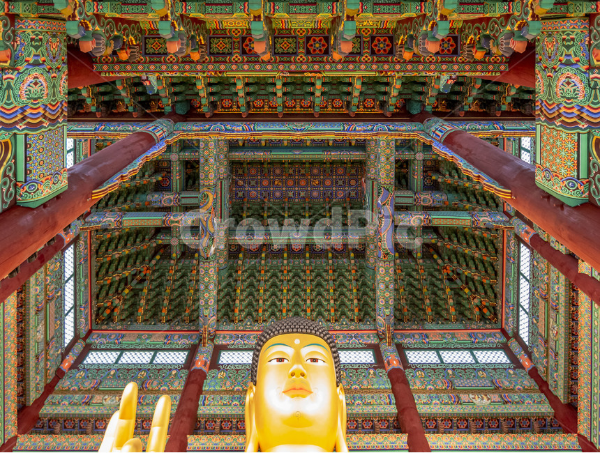 금동불상,좌상,천정단청,불교예술,무늬,채색,불상,종교,대광사,조각상,고건축,건축물,사찰,절,조형물,신앙,단청,문화예술,전청벽화,전통문화,한국전통,한국문화,korean traditional,korean culture,조각상,동상,석상,조형물,statue,bronze statue,stone statue,종교,신앙,religion,belief,faith,건축물,건물외관,exterior,building,structure,architecture,construction