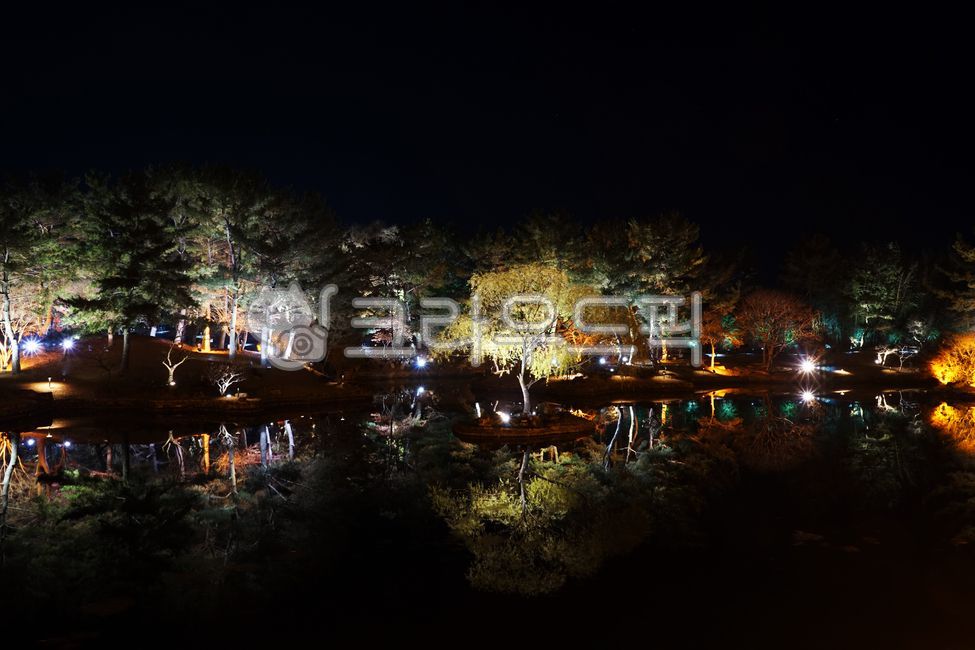 night view,palace,pond,pine tree,nature,Anapji Pond,Wolji Pond,Silla,history,lighting,Gyeongju,Donggung and Wolji Pond,ancient times,outdoors,lake,Donggung Palace