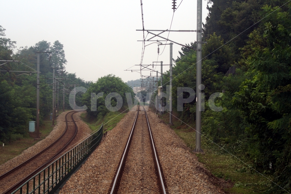선로,철도,railroad,풍경,나무,산업,industry,industrial,교통,교통수단,traffic,transportation,train track,기찻길,rail,레일,railway