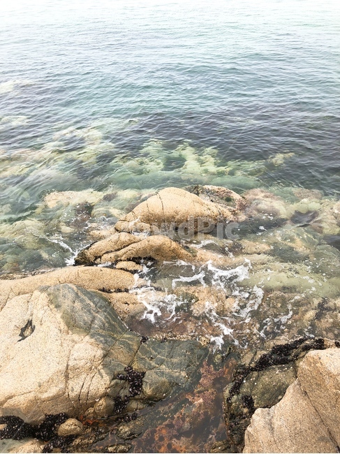 해안가,해안지형,돌,파도,배경,풍경,맑은