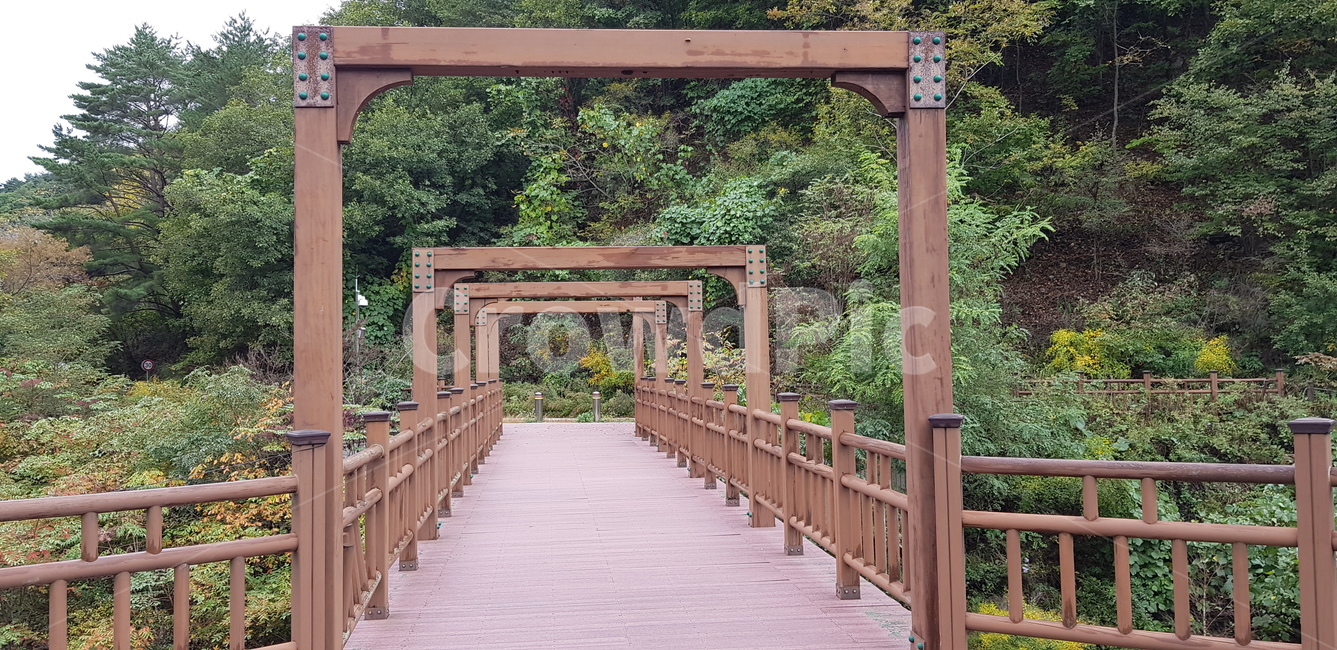 다리,난간,산,산책,두타산