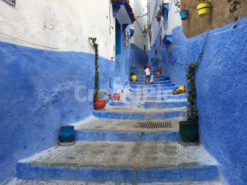 Morocco,white,pot,Africa,stairs,blue stairs,wall