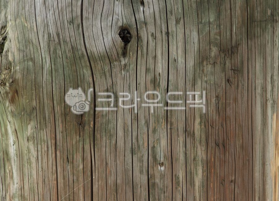 tree pattern,hardwood,old wood,texture,retro,tree,old material,vintage,tree background,wood,tree design,group