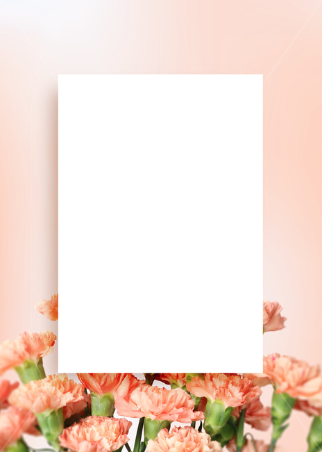 카네이션,꽃,코랄,백그라운드,배경이미지,배경,꽃송이,꽃다발,프레임,카피스페이스,기념일,주황색,기념일,축하,anniversary,congratulation,celebrate,celebration