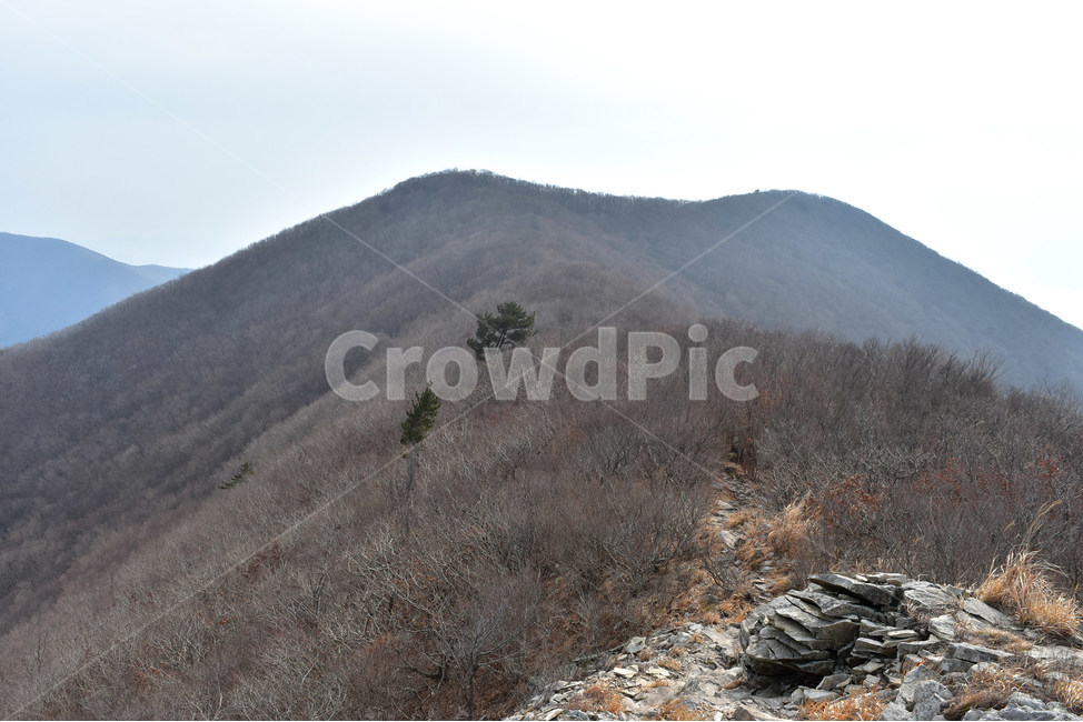 거금도,적대봉,풍경,바다,사진,섬,자연,물만내,오천리,서촌마을,김양식장,해안,힐링,감성,조망,전망,바위,봉수대,트레킹,등산,산행,비경,아름다운,절경,암릉,억새,겨울,겨울,계절,winter,season,자연,풍경,nature,landscape,한국자연풍경,한국자연경관,korea nature landscape,outdoors,옥외