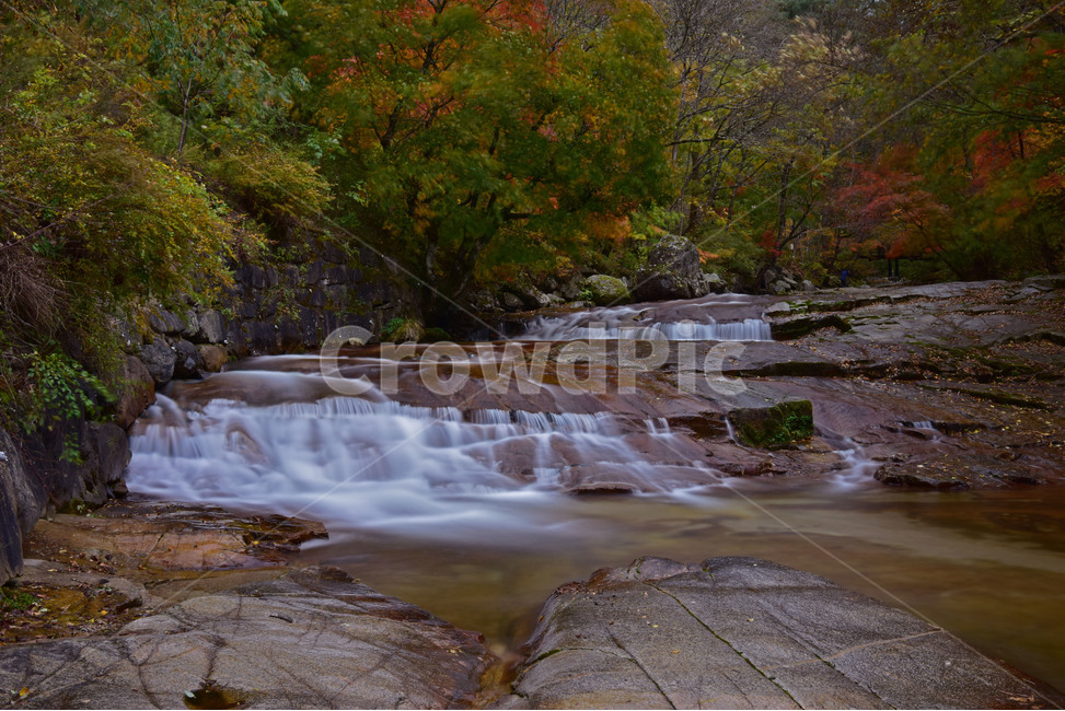 water,물,nature,자연,흐름,가을풍경,방태산,가을,계절,fall,autumn,season,자연,풍경,nature,landscape,outdoors,옥외,creek,작은 만,stream