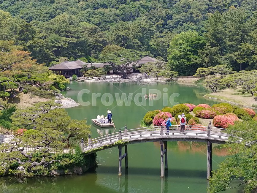 연못,호수,호숫가,정원,공원,식물,초록,lake,plant,garden,gardenning,gardenpark,park,aquaticplant