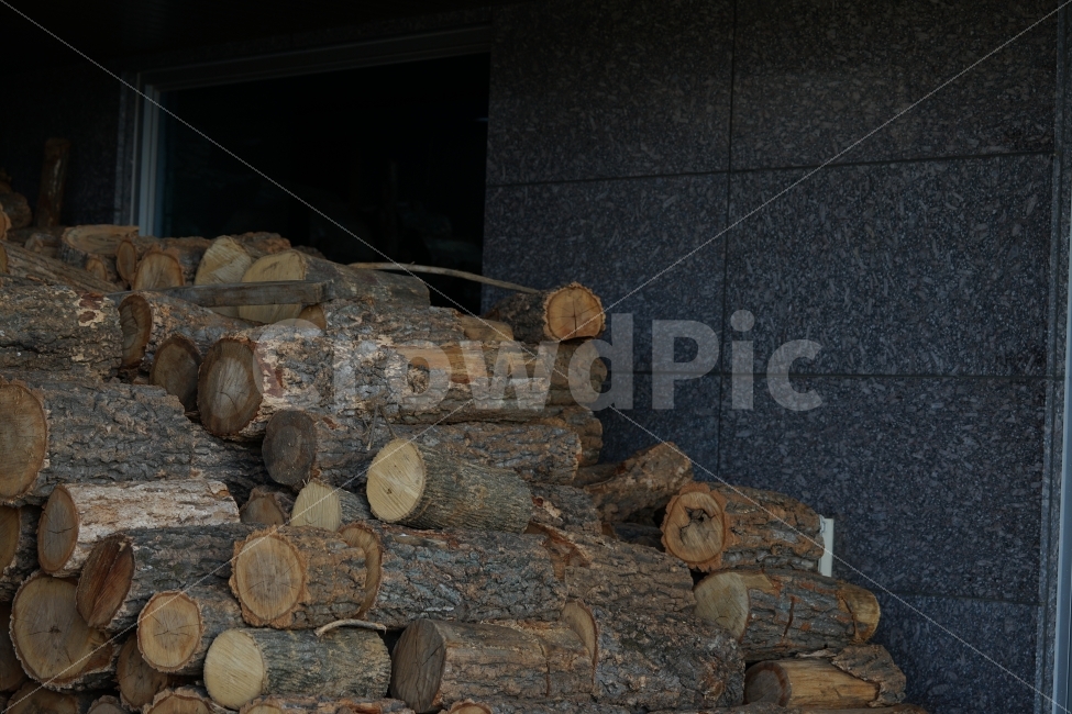 나무,원목,우드,wood,장작,목재,자연,식물,일상,뗄감,식물,자연,plants,nature