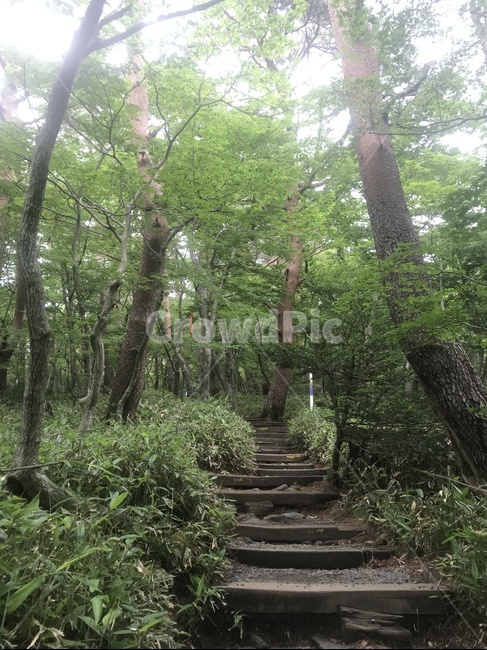 제주한라산,한라산,영실탐방로,백록담,윗세오름