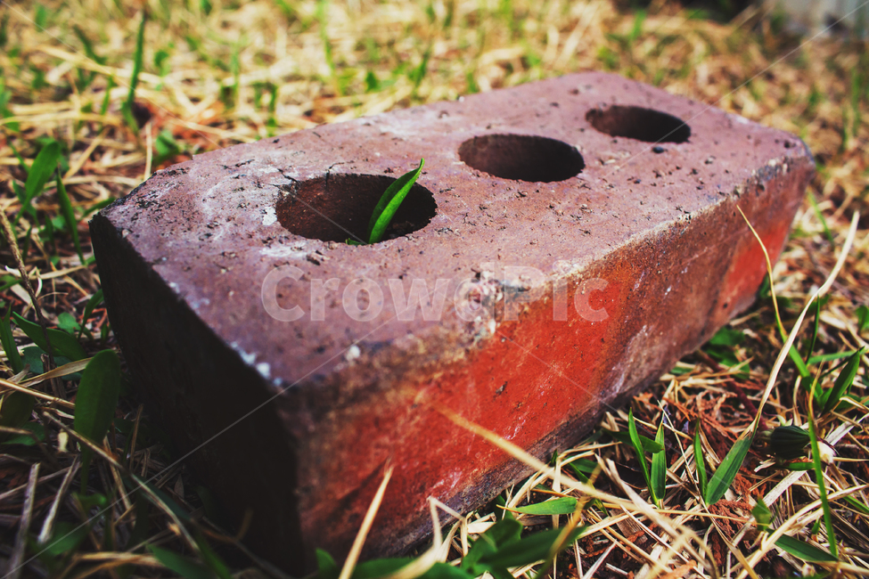 red,brick,grass,벽돌,붉은