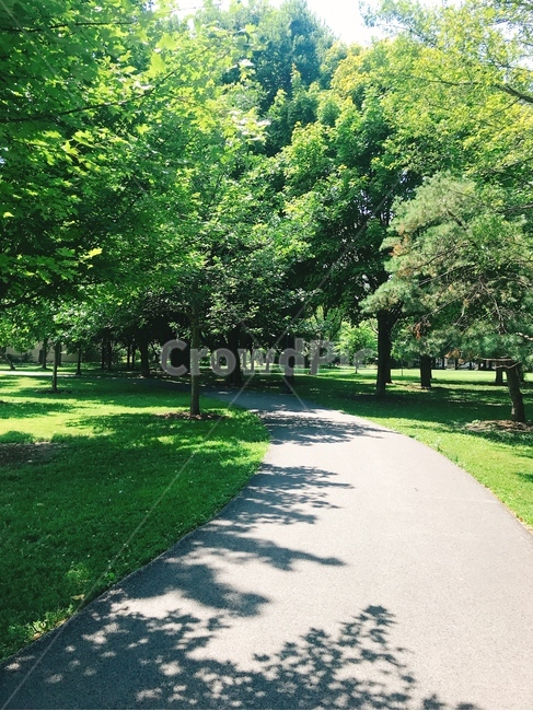 공원,산책,초록,나무,산림욕,점심시간,자연,풍경,nature,landscape,grass,잔디,plant,식물,park,outdoors,옥외,lawn,tree