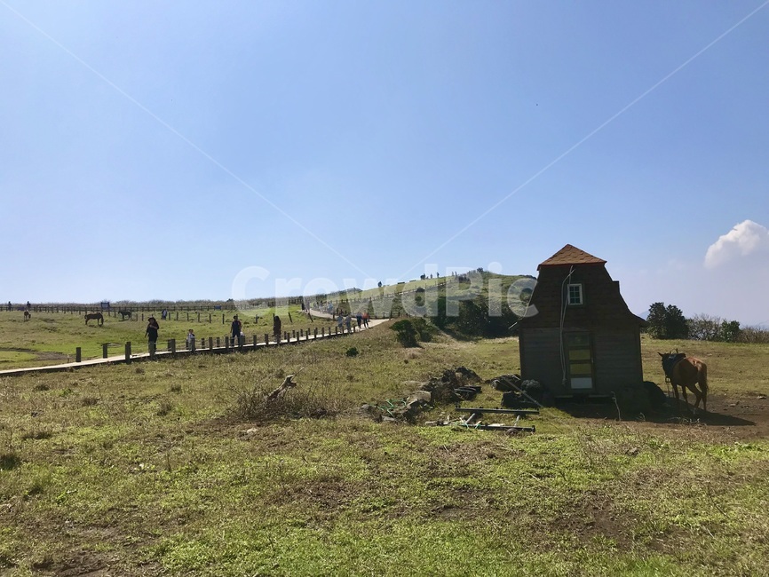 우도,제주도우도,들판,들판하늘,가을하늘,자연,nature,빨간지붕,들판집,udoisland,field,fieldsky,fall,fallsky,redhouse