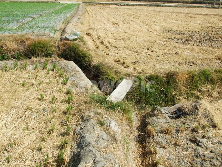 시골풍경,추수후의논,논두렁,들판,고향,시골,마을,풍경,landscape,country,rural,town