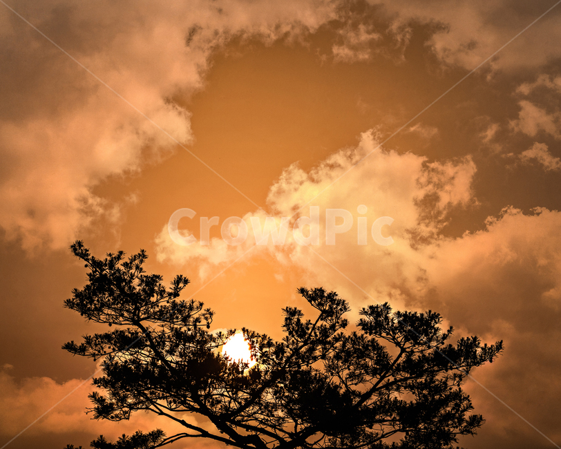 풍경사진,해질녘,오늘,석양,자얀,저녁,하늘,sunlight,햇빛,nature,자연,outdoors,옥외,자연,풍경,nature,landscape
