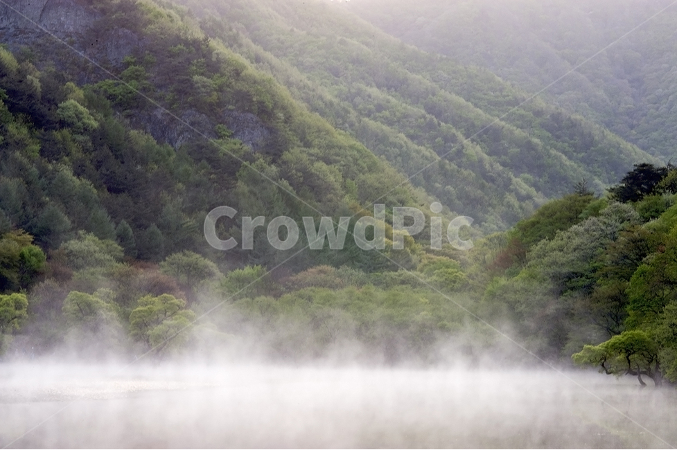 자연,주왕산,주산지,물안개,버드나무,자연,풍경,nature,landscape,한국자연풍경,한국자연경관,korea nature landscape,weather,날씨,outdoors,옥외