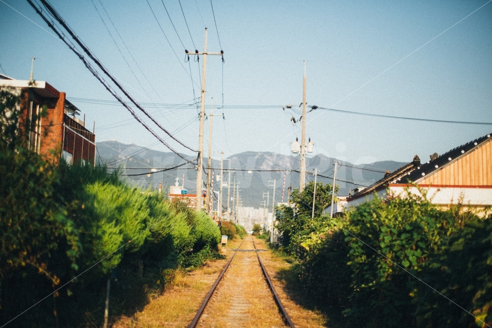 철길,감성,스냅,식물,전선,하늘,교통,교통수단,traffic,transportation,감성,sensible,feeling,rail,레일,train track,기찻길,railway,철도