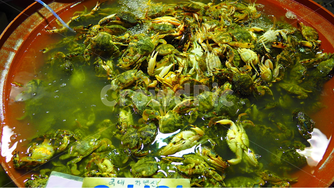 수산시장,게,소래포구,해산물,싱싱한,신선한,식재료,crab,게딱지,바다,market,맛있는,건강한,다라이,시장,마트,마켓,market,mart,market place,음식,식재료,요리,food,cook,meal,dishes,food reserves,수산물,해산물,fishery products,seafood