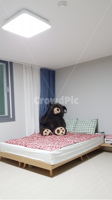 곰,곰돌이,침대,덩그러니,외로움,깨끗,깔끔,방,여자방,조용함,안락함,휴식,욜로,깨끗함,깔끔함,고요함,bear,teddybear,room,bed,queensize,healing