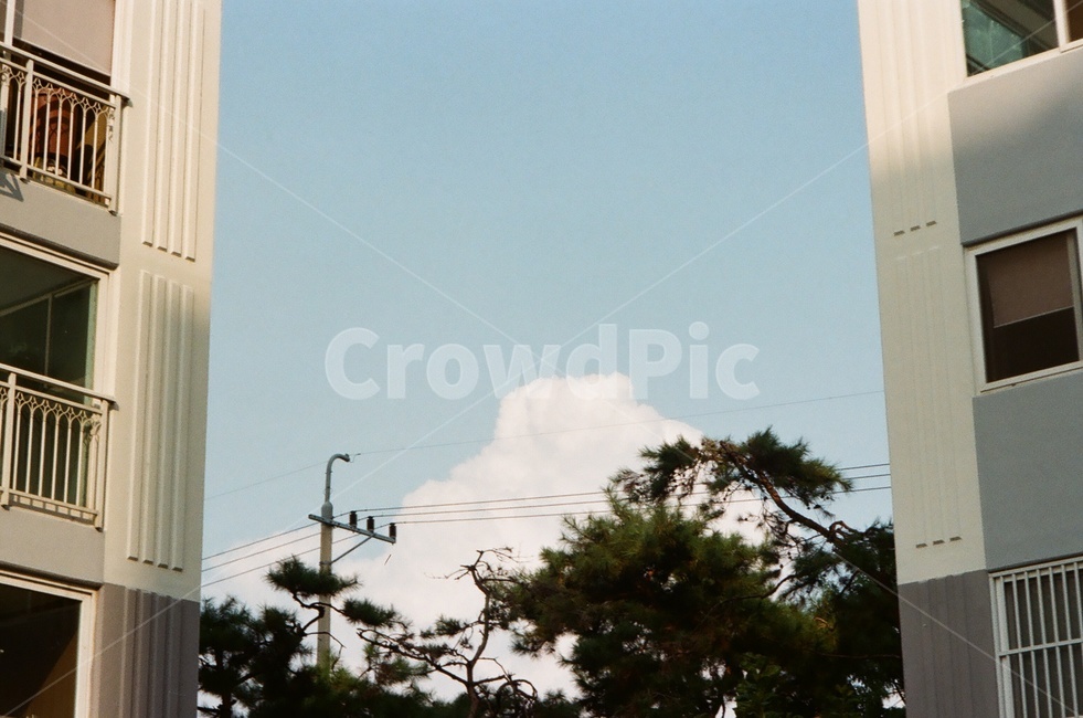 하늘,구름,자연,나무,sky,cloude,blue,film,필름사진,필름감성,감성사진,nature
