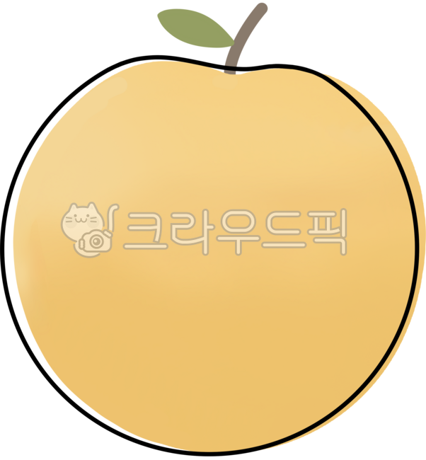 배,과일,먹는배,배일러스트,과일일러스트,과일배,가을과일,제철과일,추석과일,배과일