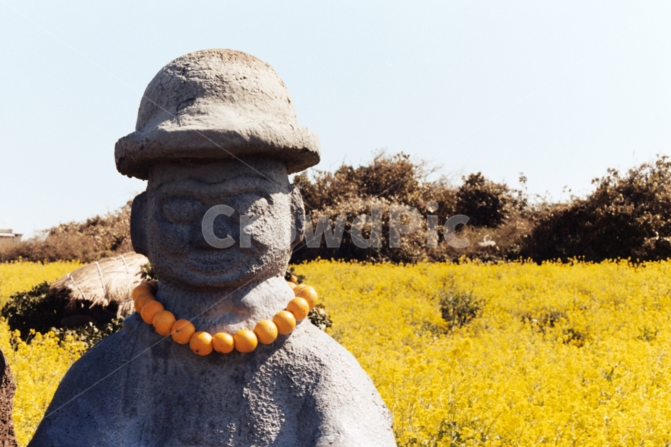 유채꽃,제주도,제주,제주감성,하늘,유채꽃밭,봄,계절,spring,season,제주도,jeju,jeju island,조각상,동상,석상,조형물,statue,bronze statue,stone statue,accessory,종범,accessories,부속품,bead,구슬