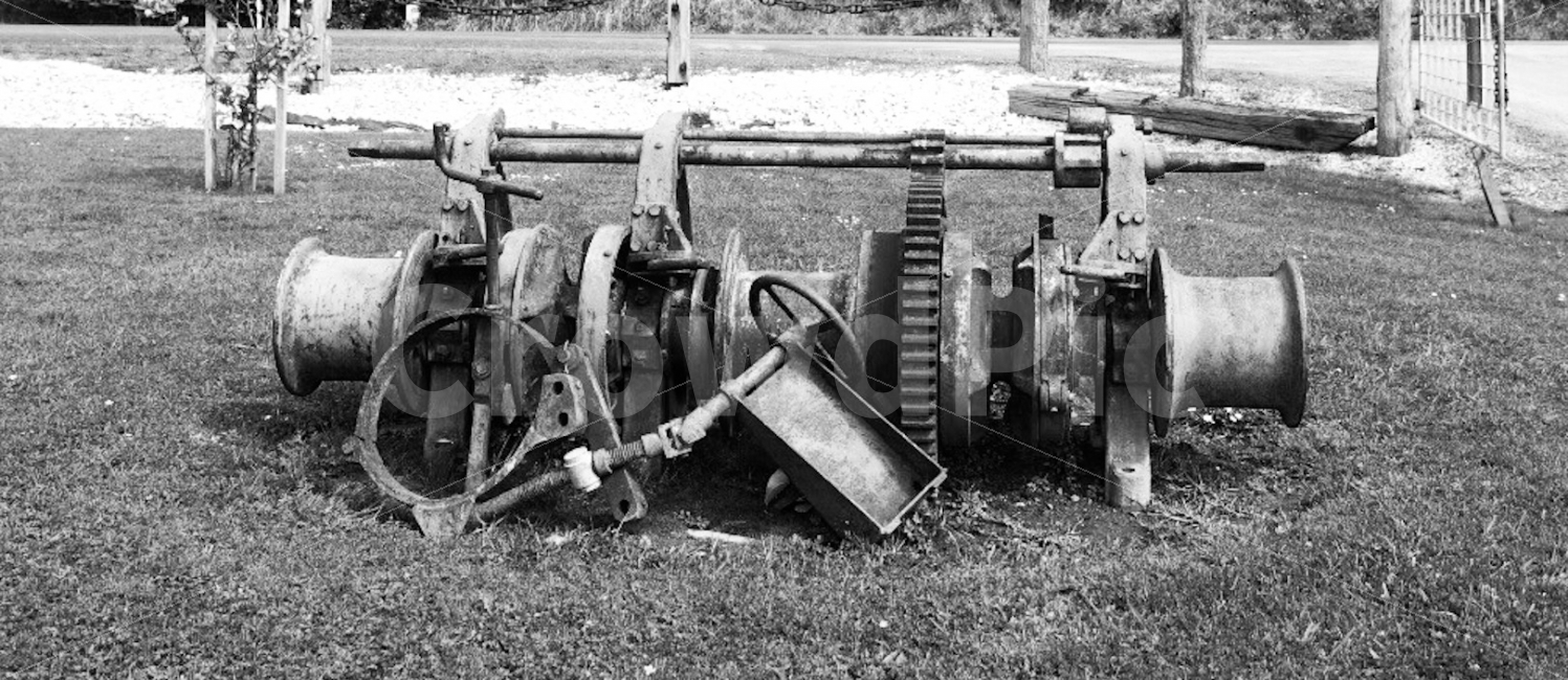 New Zealand,oyster,cave,machine,Farm,Auckland,travel