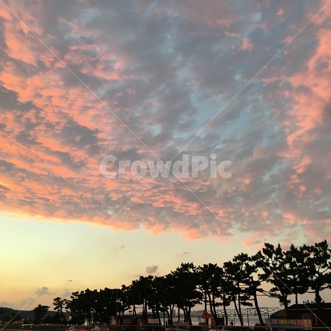 노을,분홍하늘,뭉게구름,분홍색,구름,자연물,자연,풍경,nature,landscape,outdoors,옥외,sky,하늘,sunset,일몰,dusk,황혼,dawn,새벽,red sky,붉은 하늘