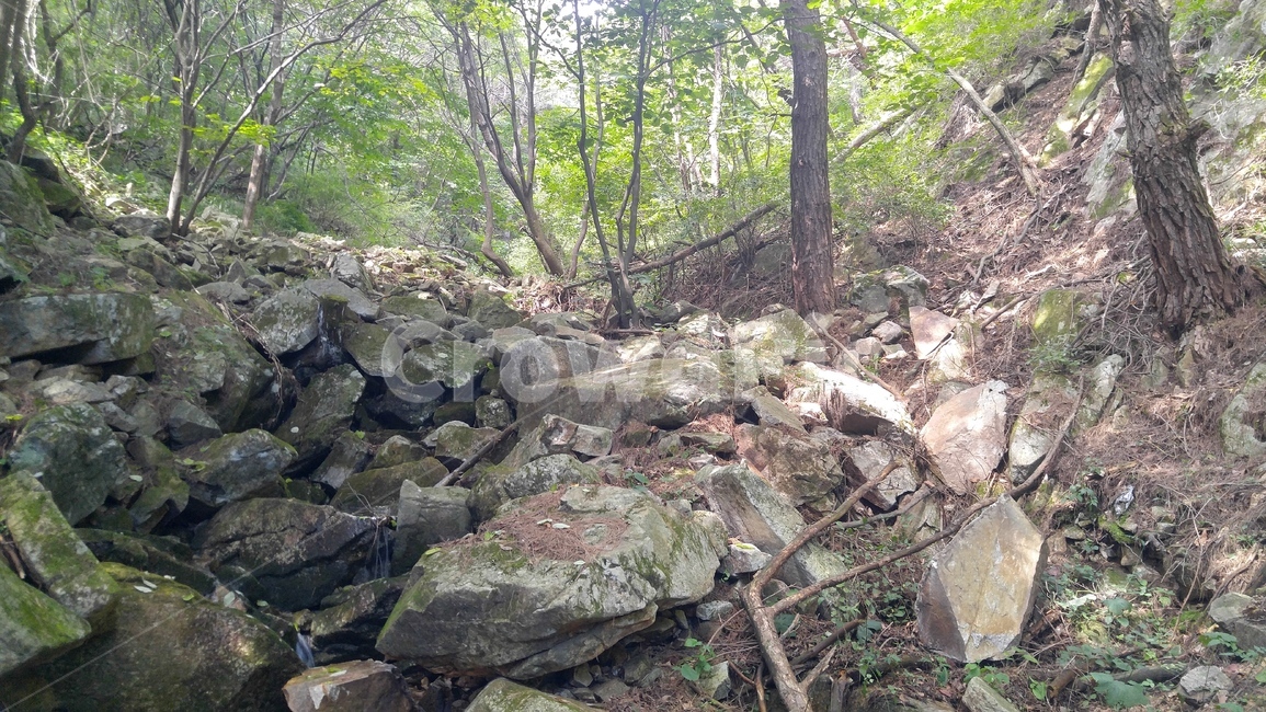 계곡,물,숲,돌,나무,자연,풍경,nature,landscape,rubble,파편,slate,슬레이트