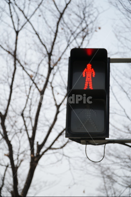 신호등,빨간불,trafficlight,signallight,정지,교통,교통수단,traffic,transportation,light,빛
