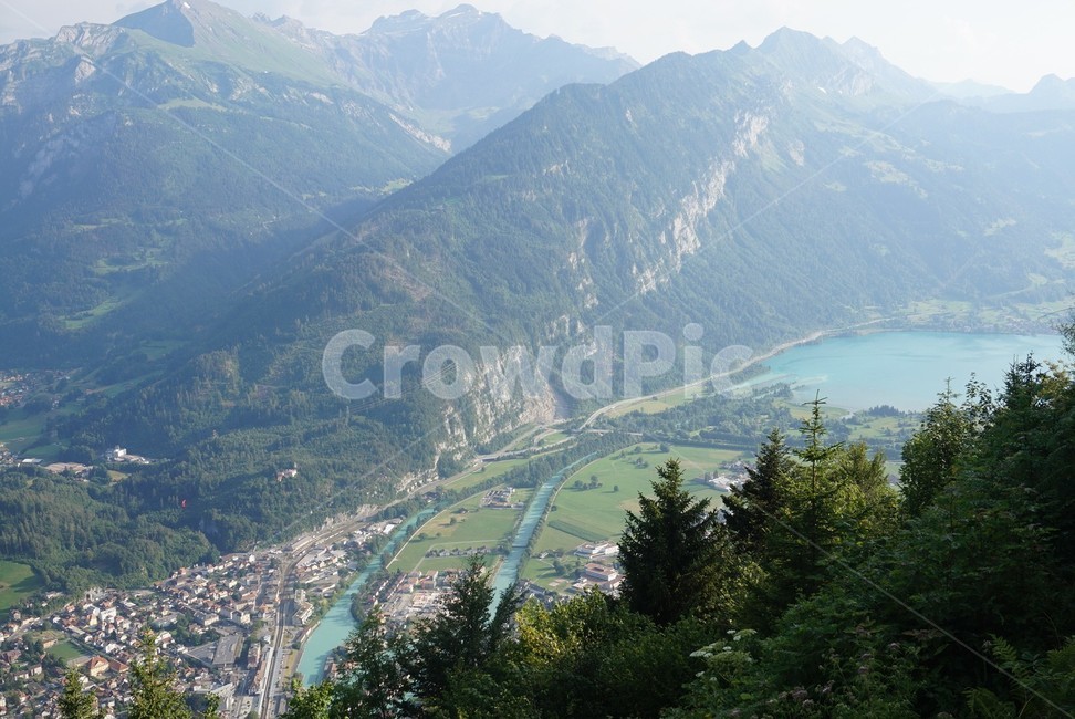 스위스,nature,자연,outdoors,옥외,풍경,감성,자연,풍경,nature,landscape,slope,경사,plant,식물,fir,전나무,tree,나무,scenery