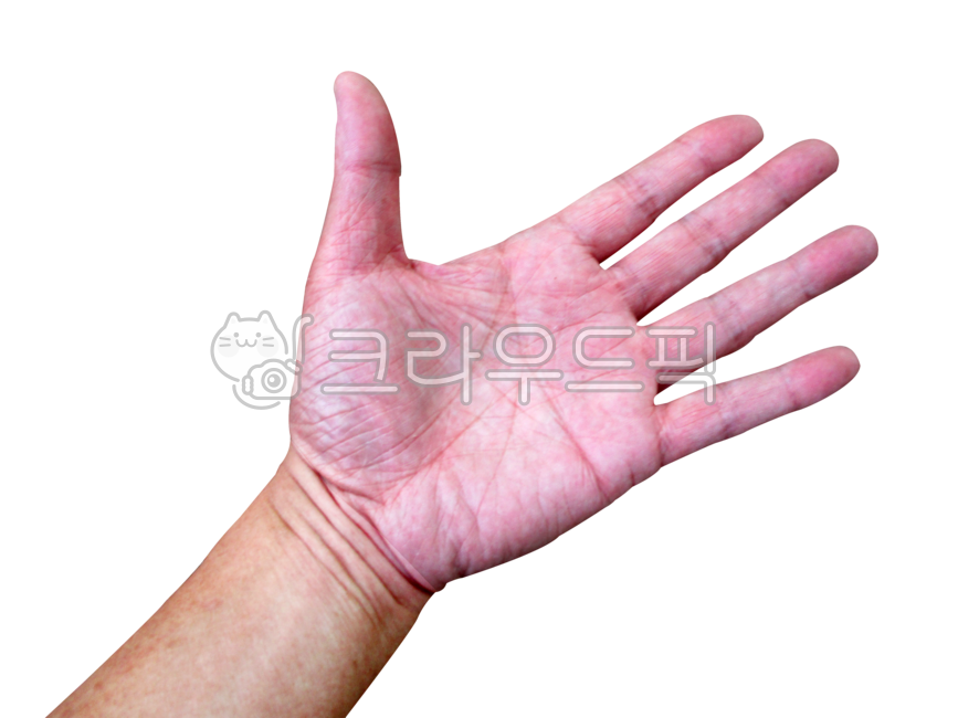 손,손바닥,손가락,제스처,png,배경,투명배경,누끼,손짓,손동작,손모양,표현,신체,사람,신체일부,손목,핸드,palm,finger,gesture,background,transparentbackground,handgesture,handshape,expression,body,person,bodypart,wrist,hand