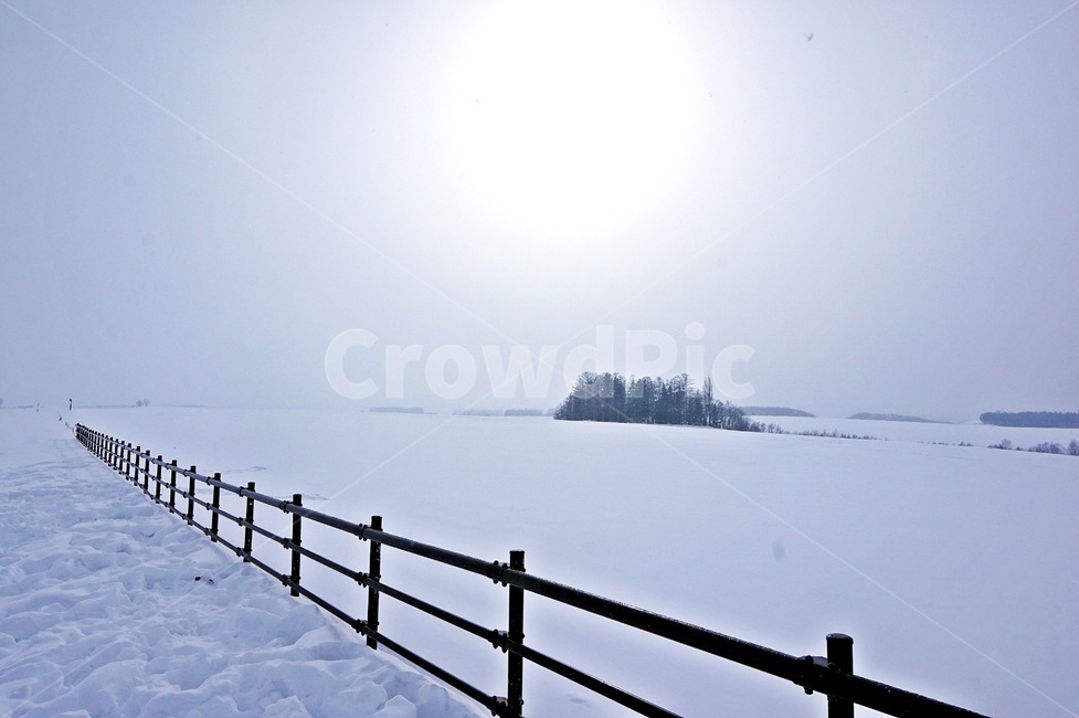 폭설,눈밭,겨울,눈,울타리,난간,자연,outdoors,옥외,겨울,계절,winter,season,자연,풍경,nature,landscape