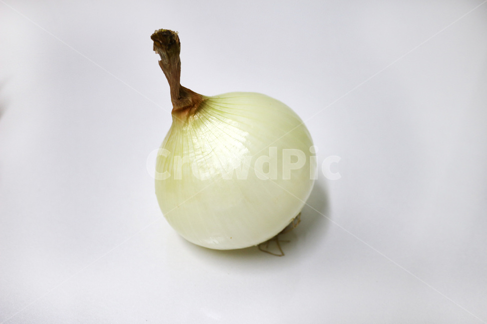 양파,하얀색,식재료,요리,음식,채소,야채,음식,식재료,요리,food,cook,meal,dishes,food reserves,채소,야채,vegetables