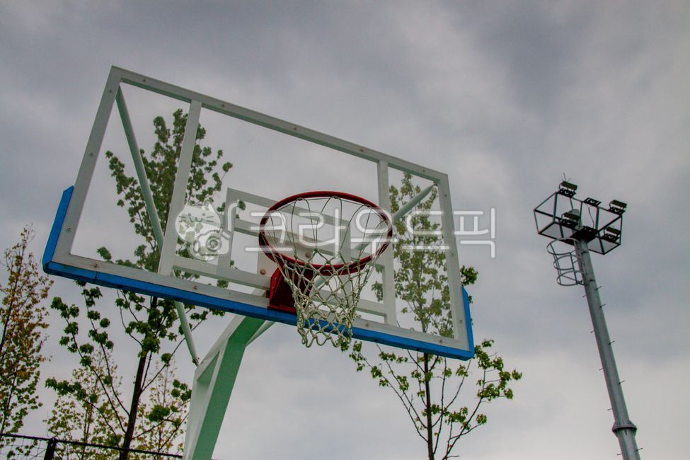 농구,스포츠,농구골대,그물,골대