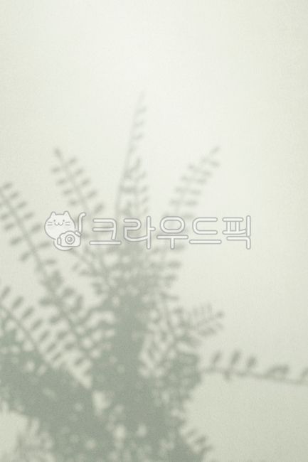 discoloration,blank,shadow,pattern,blur,scenery,branch,leaves,Archaic,shape,reflection,wallpaper,nature,texture,copyspace,retro,abstract,blank space,leaf,material,background,plant,silhouette,wall