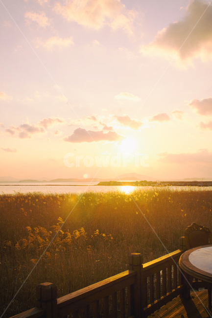 바다,일몰,갯벌,만,풍경,자연,하늘,구름,태양,해,햇빛,해안,바닷가,갈대,sea,sunset,sunfall,sunlight,bay,nature,landscape,sky,cloud,sun,항구,port,자연,풍경,nature,landscape,한국자연풍경,한국자연경관,korea nature landscape,light,빛,flare,플레어,outdoors,옥외