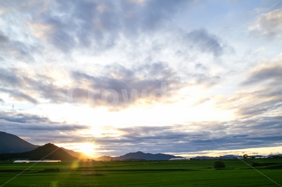 자연,풍경,시골,논,산,들녘,석양,구름,자연,풍경,nature,landscape,시골,마을,country,rural,town,field,들,outdoors,옥외,grassland,목초지