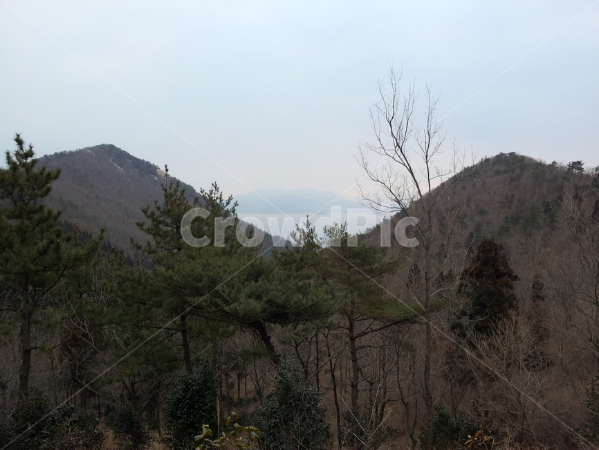 숲,산,능선,나무,바다,풍경,자연,수평선