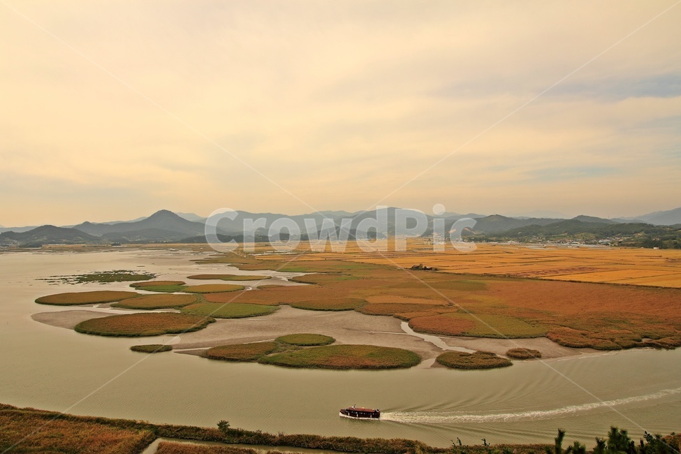 순천만,유람선,자연,습지,swamp,nature,landscape,자연,풍경,nature,landscape,한국자연풍경,한국자연경관,korea nature landscape,outdoors,옥외,land,땅