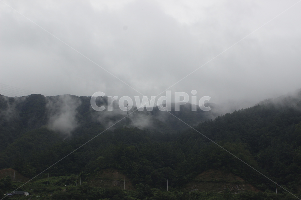가평,안개,산,숲,감성사진,자연,풍경,nature,landscape,weather,날씨,outdoors,옥외