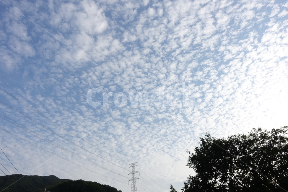가을하늘,하늘,가을,뭉개구름,공원,스카이,구름,자연,풍경,nature,landscape