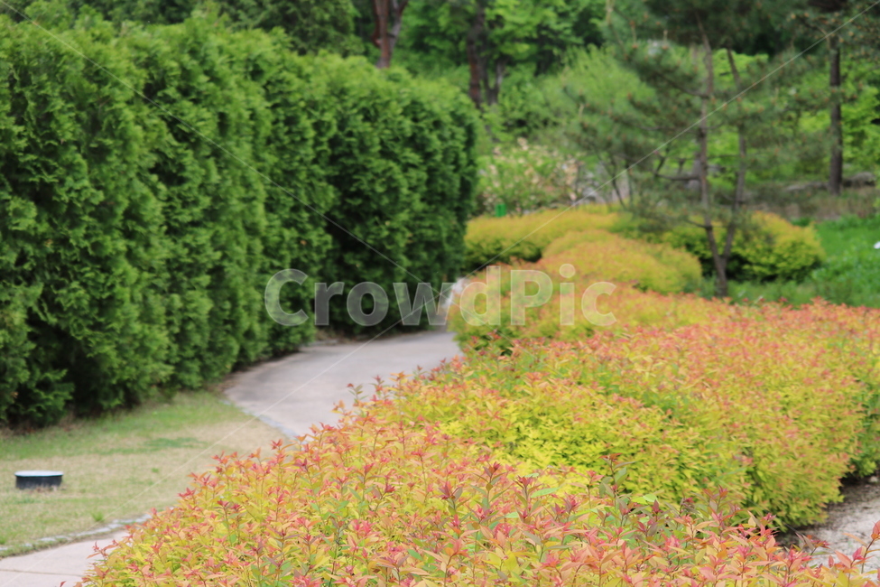 꽃,봄,여름,수목원,자연,봄,계절,spring,season,식물,자연,plants,nature,꽃,flower
