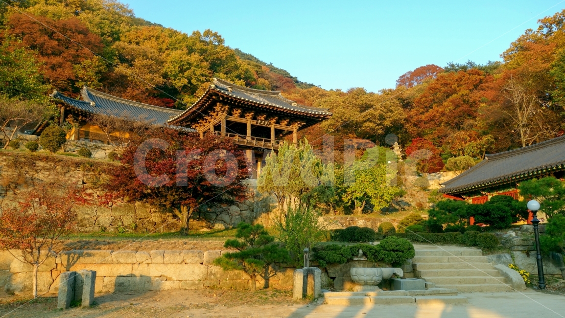 절,종교,불교,부석사,전통,한옥,건물,나무,가을,단풍,식물,계단,돌,모래,햇살,저녁,temple,religion,Buddhism,buddist,traditon,koreamhouse,building,tree,mountain,autumn,산,plant,leaves,fallenleaves,stair,rock,sand,sunshine,afternoon,evening,고요한,평온한,조용한,힐링,가을,계절,fall,autumn,season,한국전통,한국문화,korean traditional,korean culture,종교,신앙,religion,belief,faith,outdoors,옥외