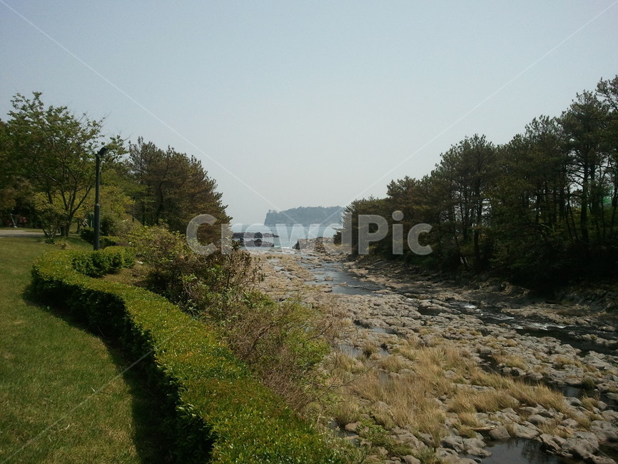 제주도,풍경,자연,강정마을,바다,나무,자연,풍경,nature,landscape,slate,슬레이트,water,물