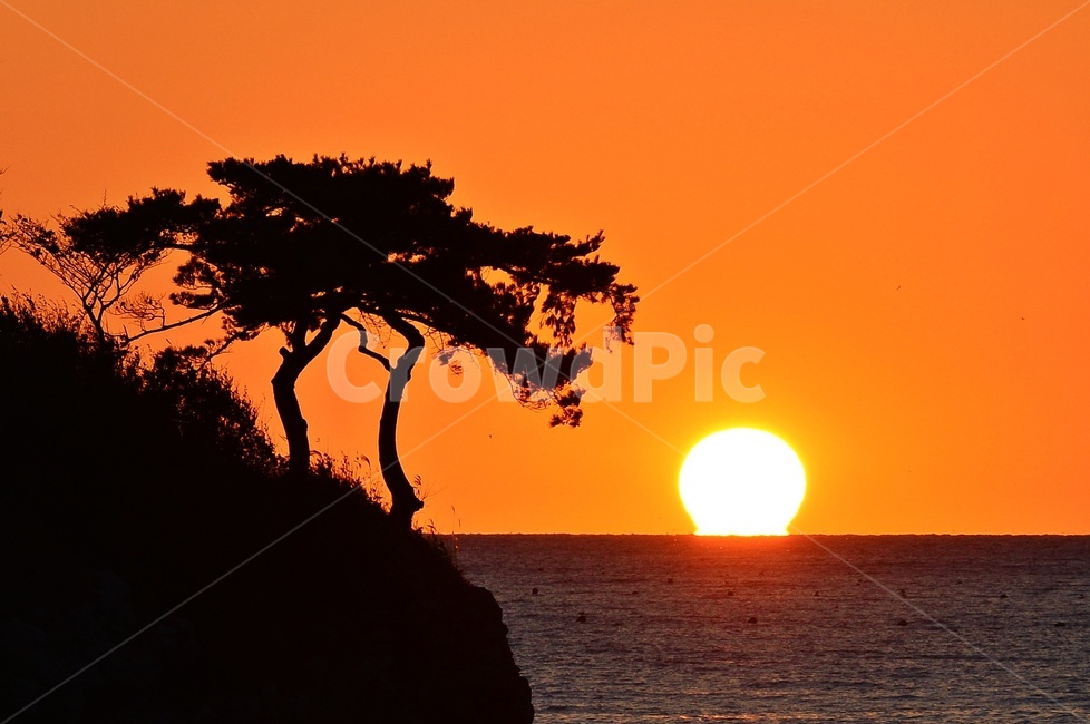 부안,솔섬,솔섬일몰,nature,자연,outdoors,옥외,sky,하늘,redsky,붉은하늘,sunset,일몰,dusk,노을,바다,해안,해변