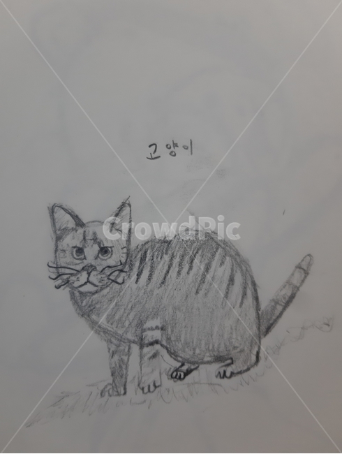 drawing,그림,sketch,art,미술,스케치