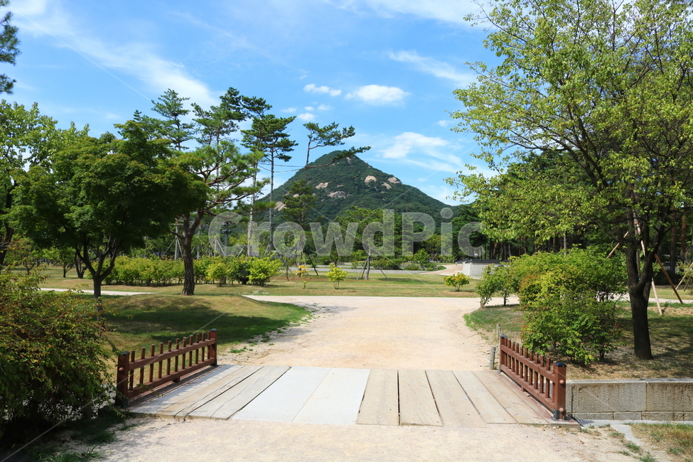 나무,하늘,자연,풍경,식물,여름,산,인왕산,자연,풍경,nature,landscape,flagstone,판석,outdoors,옥외